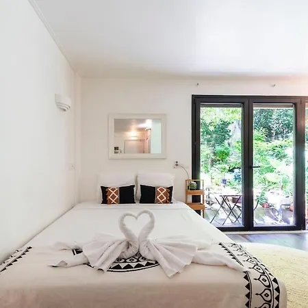 Studio Montmartre Avec Terrasse *